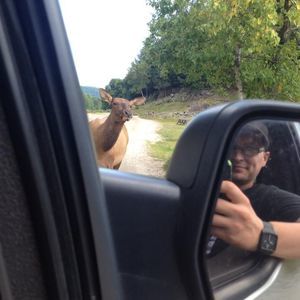 Meet your Posher, Alexander